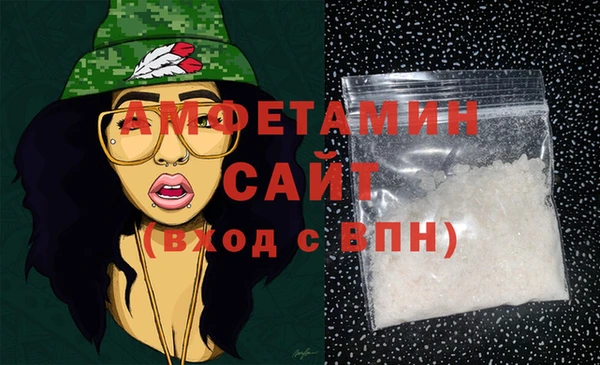 мдпв Инсар
