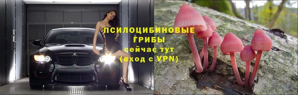 мдпв Инсар