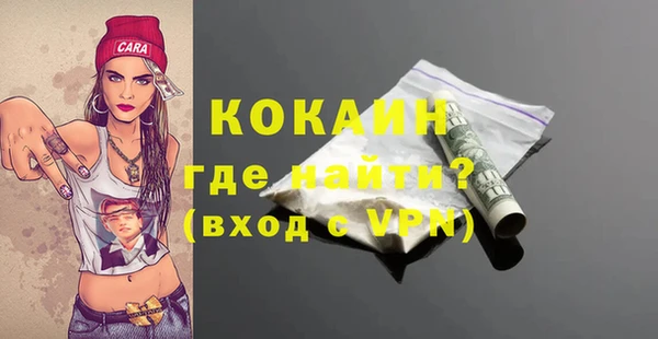мдпв Инсар