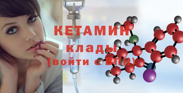 мдпв Инсар