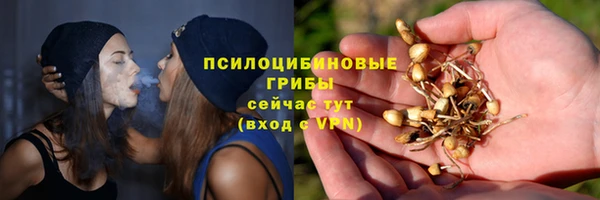 мдпв Инсар
