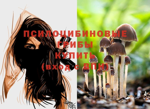 синтетический гашиш Инта