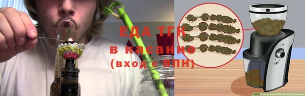 мдпв Инсар