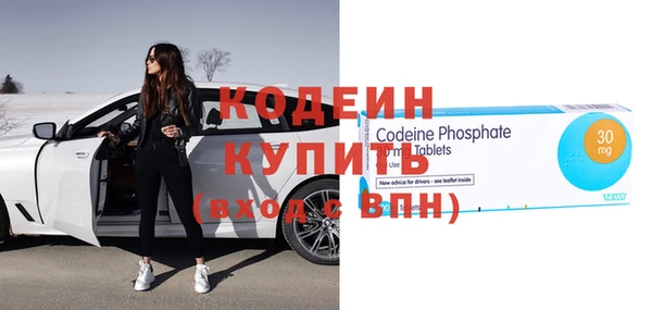 мдпв Инсар