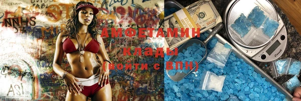 мдпв Инсар