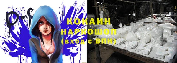 мдпв Инсар