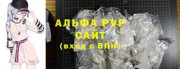 мдпв Инсар