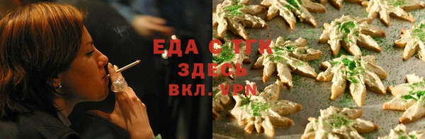 мдпв Инсар