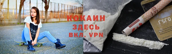 мдпв Инсар